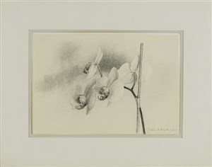 Image description is not available for 2008.039